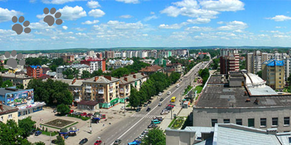 Белая Церковь с высоты