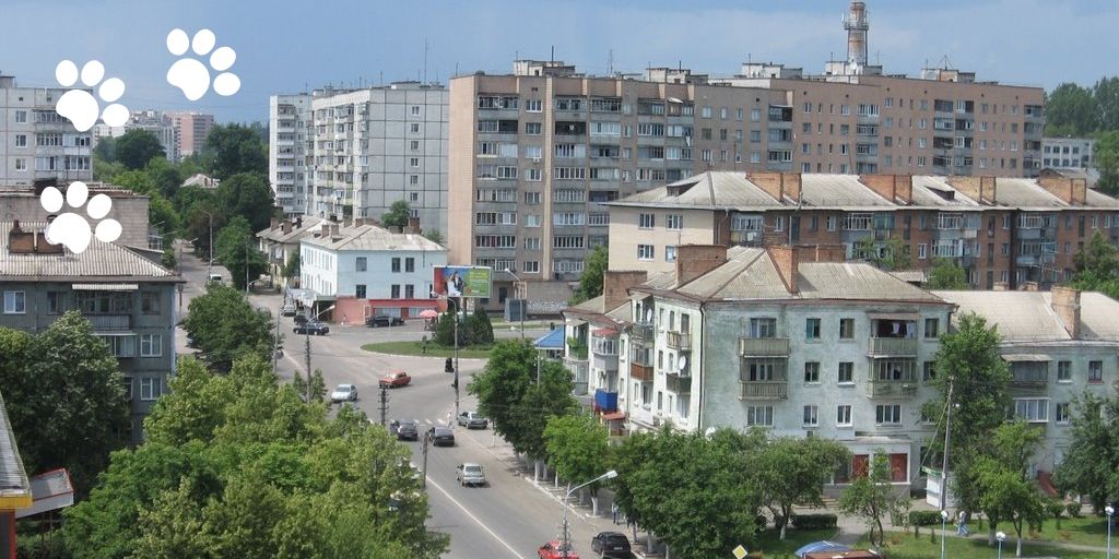 Васильков